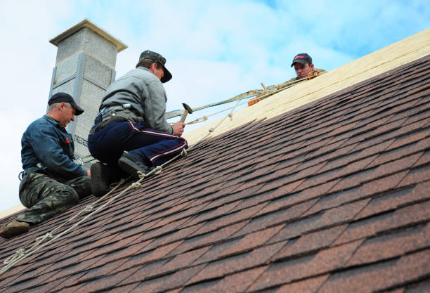 Best Roof Repair Services  in Waverly, OH